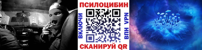 купить  цена  Губаха  Псилоцибиновые грибы прущие грибы 