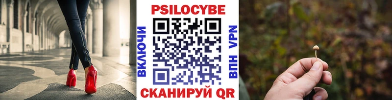 Галлюциногенные грибы MAGIC MUSHROOMS Губаха